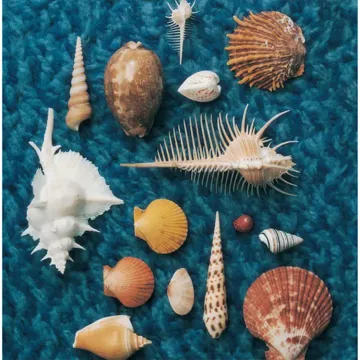 coveImg
