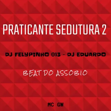 PRATICANTE SEDUTURA 2-cover