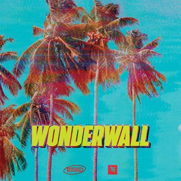 Wonderwall-cover