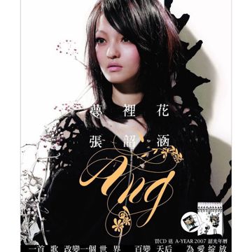梦里花-cover