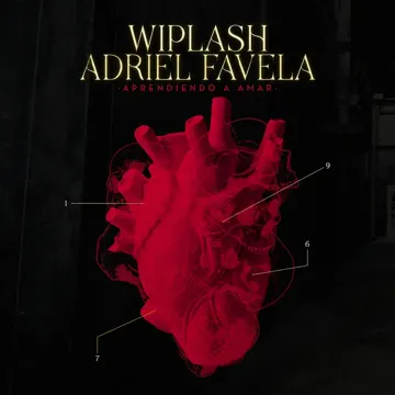 Aprendiendo A Amar-cover