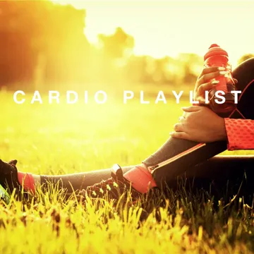 Pumped up Kicks (Workout Mix)