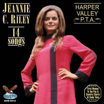 Harper Valley P T A