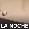 coveImg