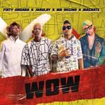 Wow(feat. Fixty Ordara & Ja Rulay & Mr Regino & El Magnate)-cover