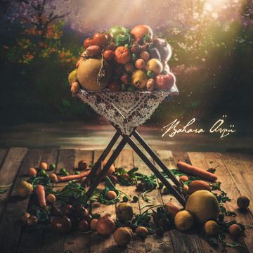 Bahara-cover