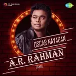 Kadhal Sadugudu (From &quot;Alaipayuthey&quot;)-cover