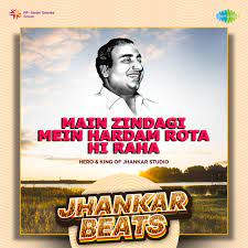 Main Zindagi Mein Hardam Rota Hi Raha-cover