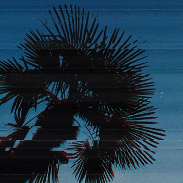 Vară fără sfârșit