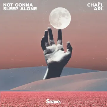 Not Gonna Sleep Alone-cover