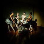 Venda Wave-cover