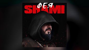 Фея Shami-cover