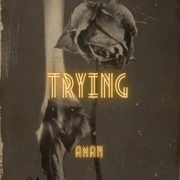 coveImg