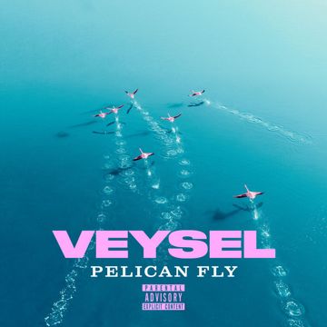 PELICAN FLY-cover