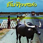 เก็บข้าวของ-cover
