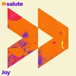 Joy-cover