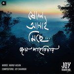 Sholo Anai Michhe-cover