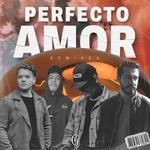 Perfecto Amor (feat. David Díaz)(LAUDR Remix)(Remix)-cover