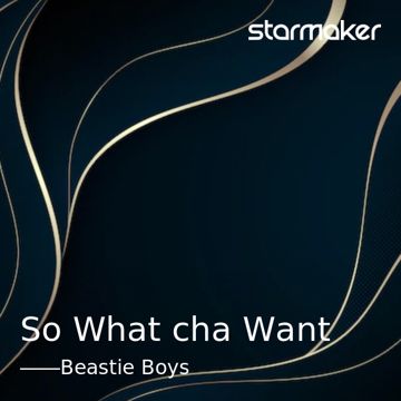 So What'cha Want-cover