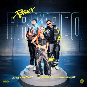 Privado - Remix-cover