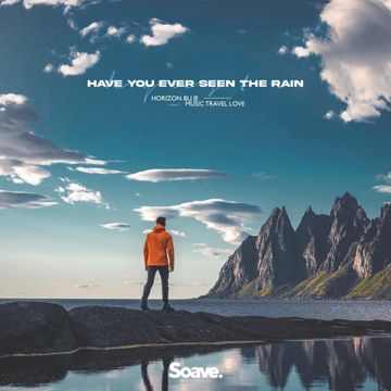 Have You Ever Seen The Rain-cover
