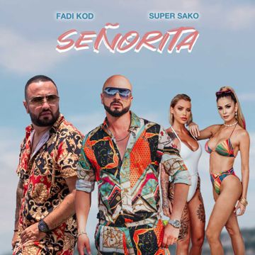 SeÑorita-cover
