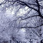 baby it's cold outside feat. RYCE, barnes blvd.-cover