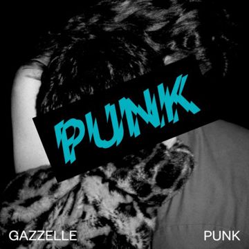 PUNK-cover