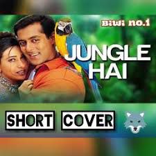 Hum Bhi Samajh Rahe Hain-cover