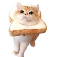 coveImg