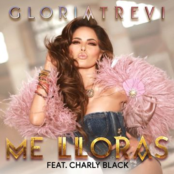Me LLoras-cover