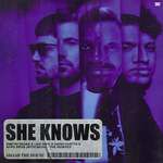 She Knows (with Akon)(Piero Pirupa Remix)(Remix)-cover