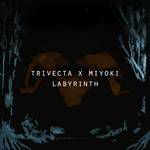 Labyrinth-cover