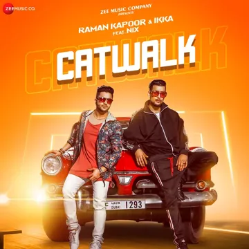 Catwalk-cover