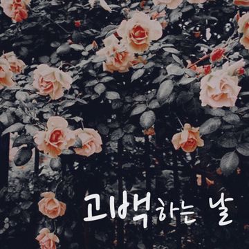 사이다-cover