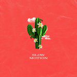 Slow Motion-cover