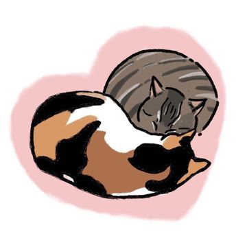 coveImg