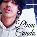 Plum Condo-cover