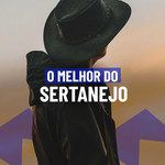 A Mala É Falsa(Ao Vivo)-cover