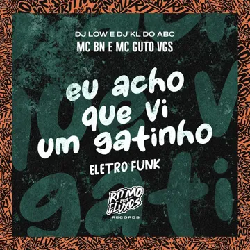Eu Acho Que Vi um Gatinho (Eletro Funk)-cover