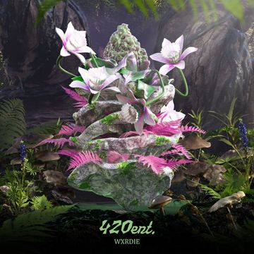 420ChillnFree-cover