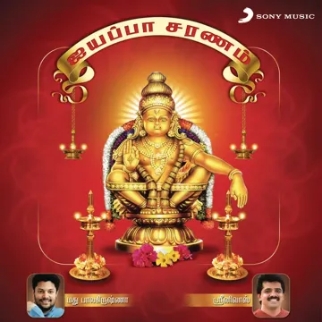 Hariharamainda-cover