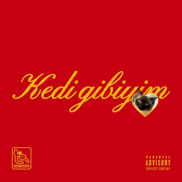 Kedi gibiyim-cover