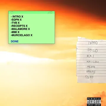 Sedie di pelle-cover