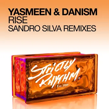 Rise (Sandro Silva Remix)-cover