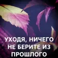 coveImg