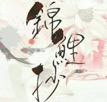 锦鲤抄-cover