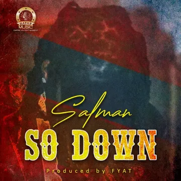 So Down-cover