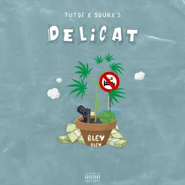Délicat-cover