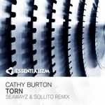 Torn(Seawayz & Sollito Remix)-cover